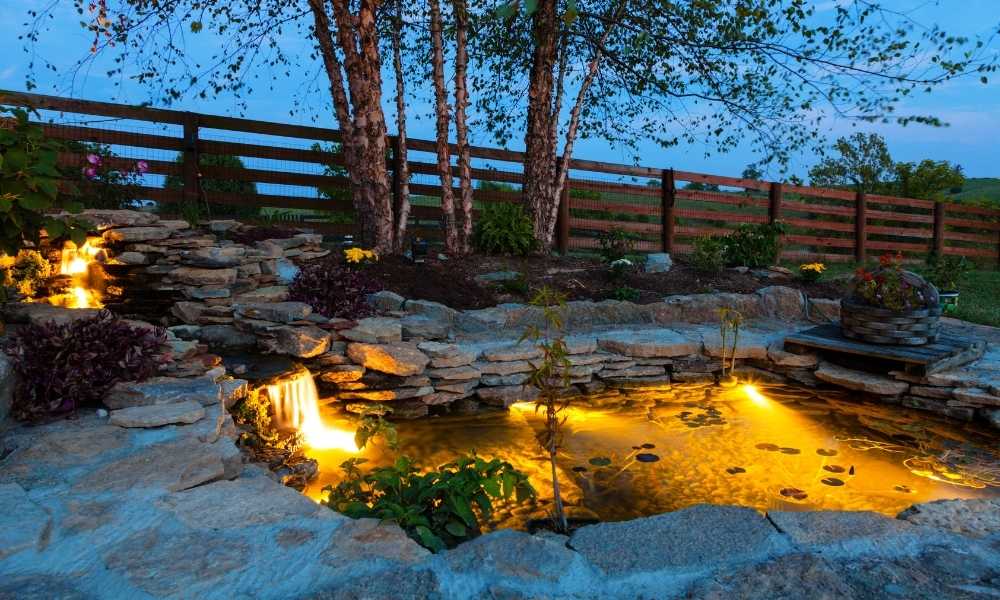 Lily Pond Lighting