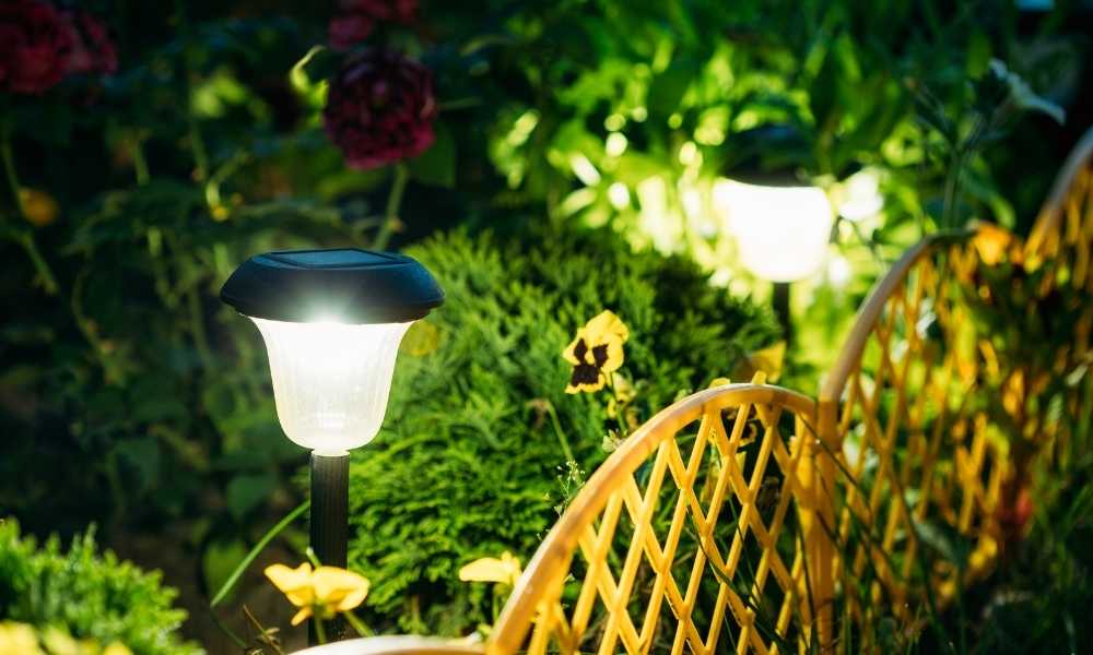 Solar Powered Lights