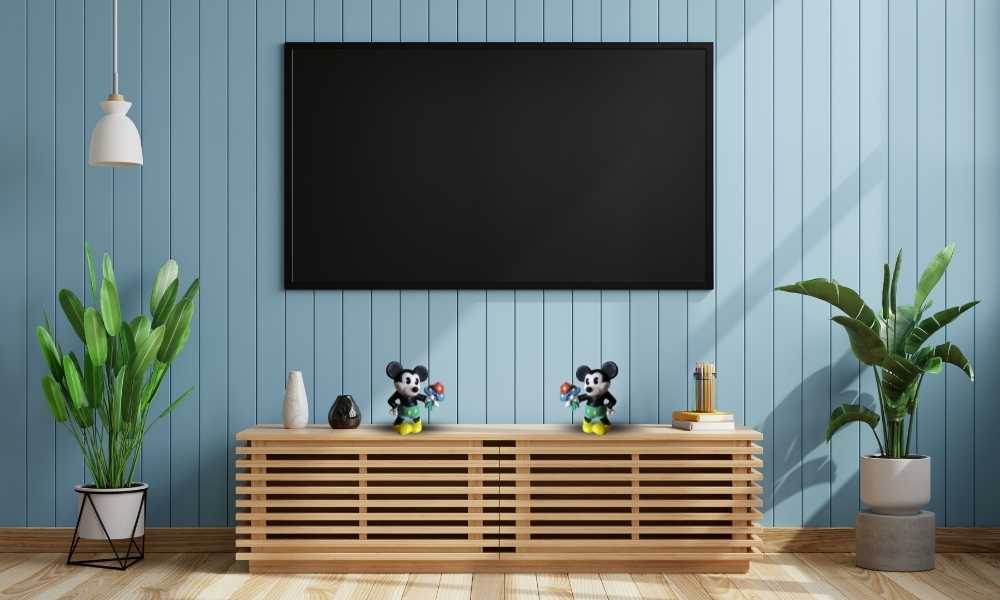 Mickey Mouse Room TV 