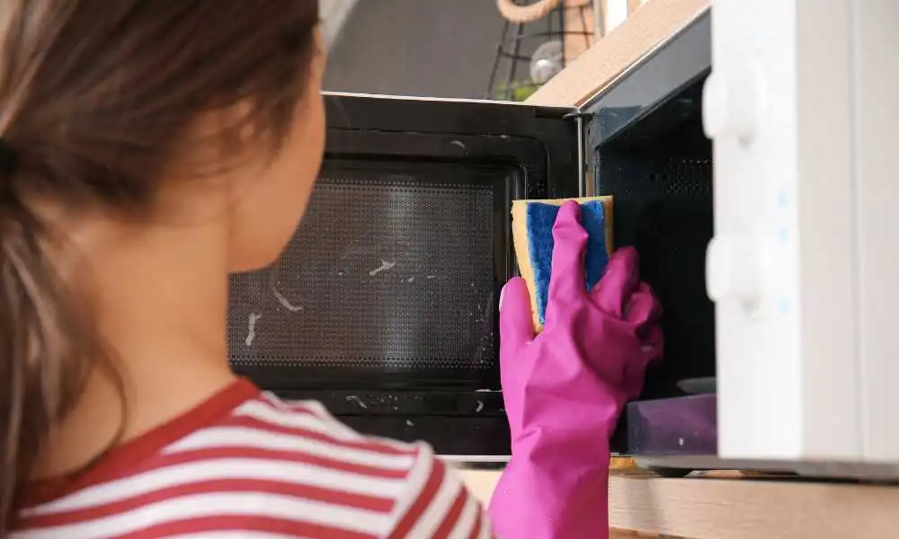 Microwave Cleaning Ideas