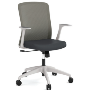 Fortis Series Task Chair